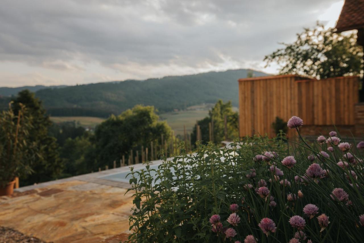 Am Wildbachberg - Luxus Ferienhaeuser Mit Infinitypool, Privatsauna Und Weinkeller Deutschlandsberg Buitenkant foto