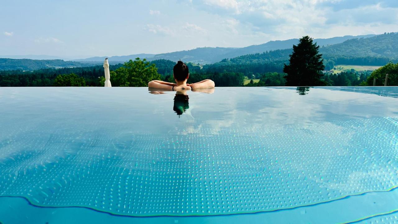 Am Wildbachberg - Luxus Ferienhaeuser Mit Infinitypool, Privatsauna Und Weinkeller Deutschlandsberg Buitenkant foto