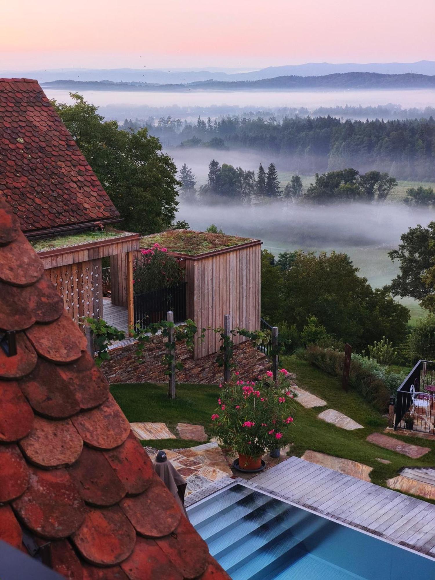 Am Wildbachberg - Luxus Ferienhaeuser Mit Infinitypool, Privatsauna Und Weinkeller Deutschlandsberg Buitenkant foto